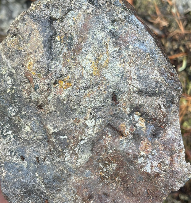 medaro11